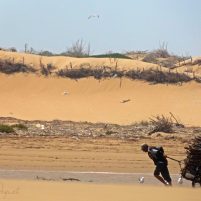 Essaouira