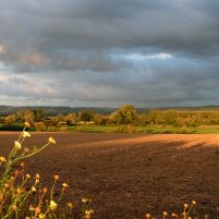 Normandie