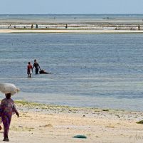 Pêche Zanzibar