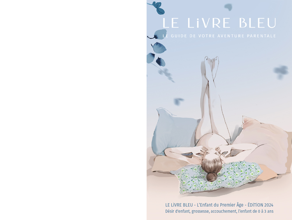 Livre Bleu 2024 couverture